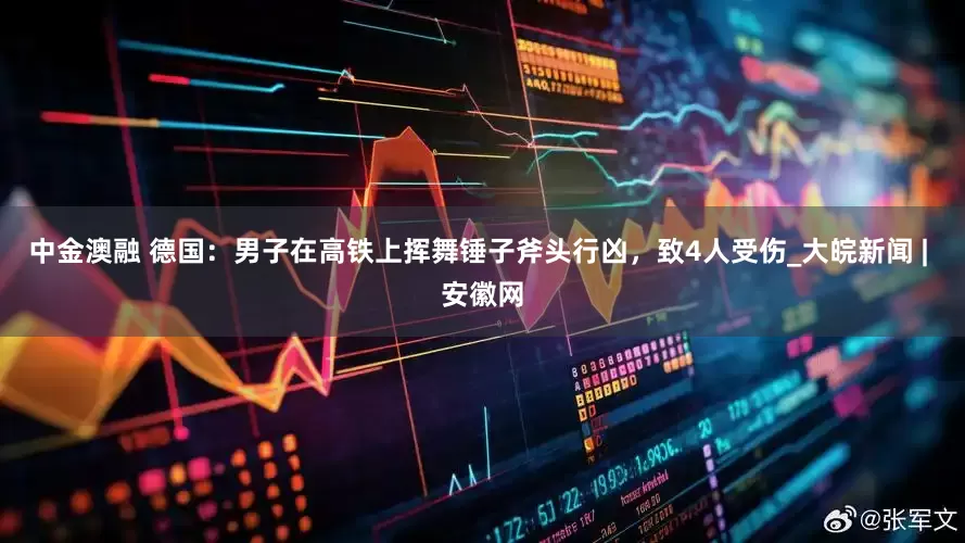 中金澳融 德国：男子在高铁上挥舞锤子斧头行凶，致4人受伤_大皖新闻 | 安徽网