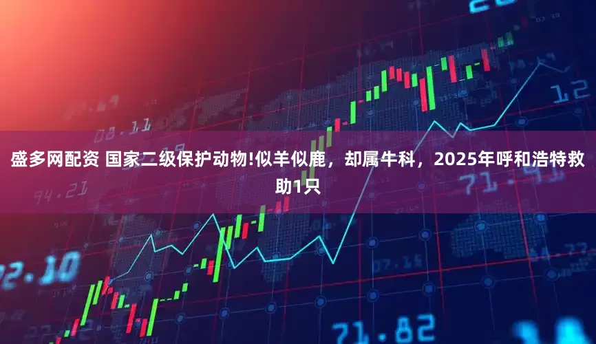 盛多网配资 国家二级保护动物!似羊似鹿,却属牛科,2025年呼和浩特救助1只