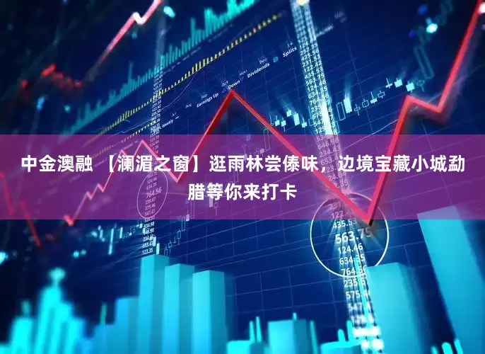 中金澳融 【澜湄之窗】逛雨林尝傣味，边境宝藏小城勐腊等你来打卡