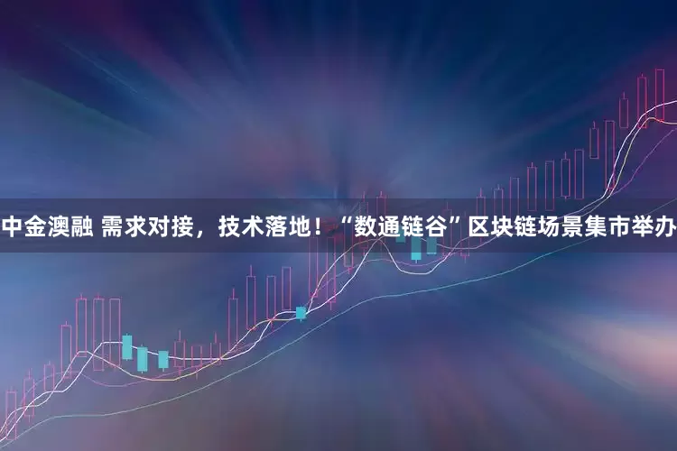 中金澳融 需求对接，技术落地！“数通链谷”区块链场景集市举办