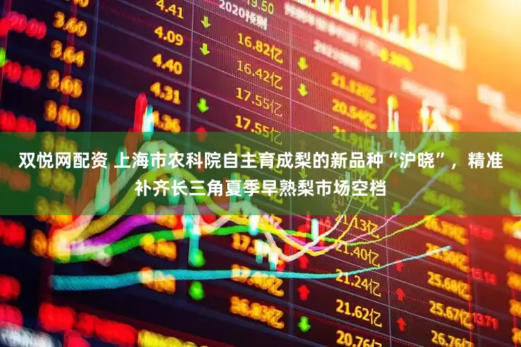 双悦网配资 上海市农科院自主育成梨的新品种“沪晓”,精准补齐长三角夏季早熟梨市场空档